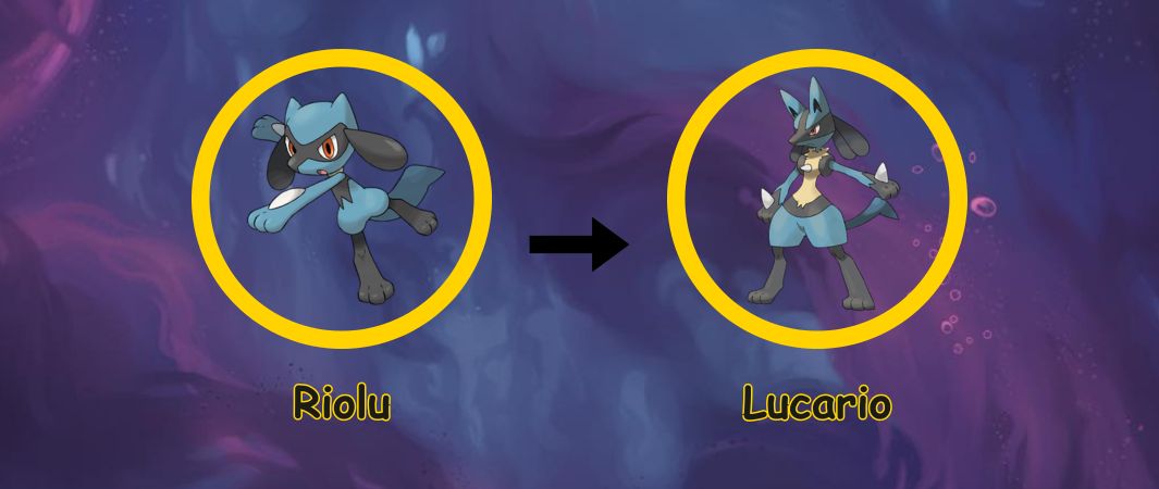 lucario pokemon